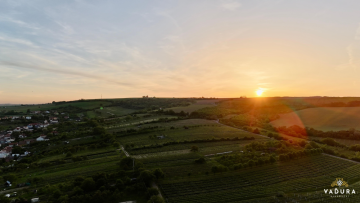 Rodinné Vinařství Vaďura