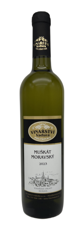 Muškát moravský 2023